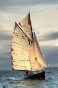 Artiste Jose Maria Gil Puchol